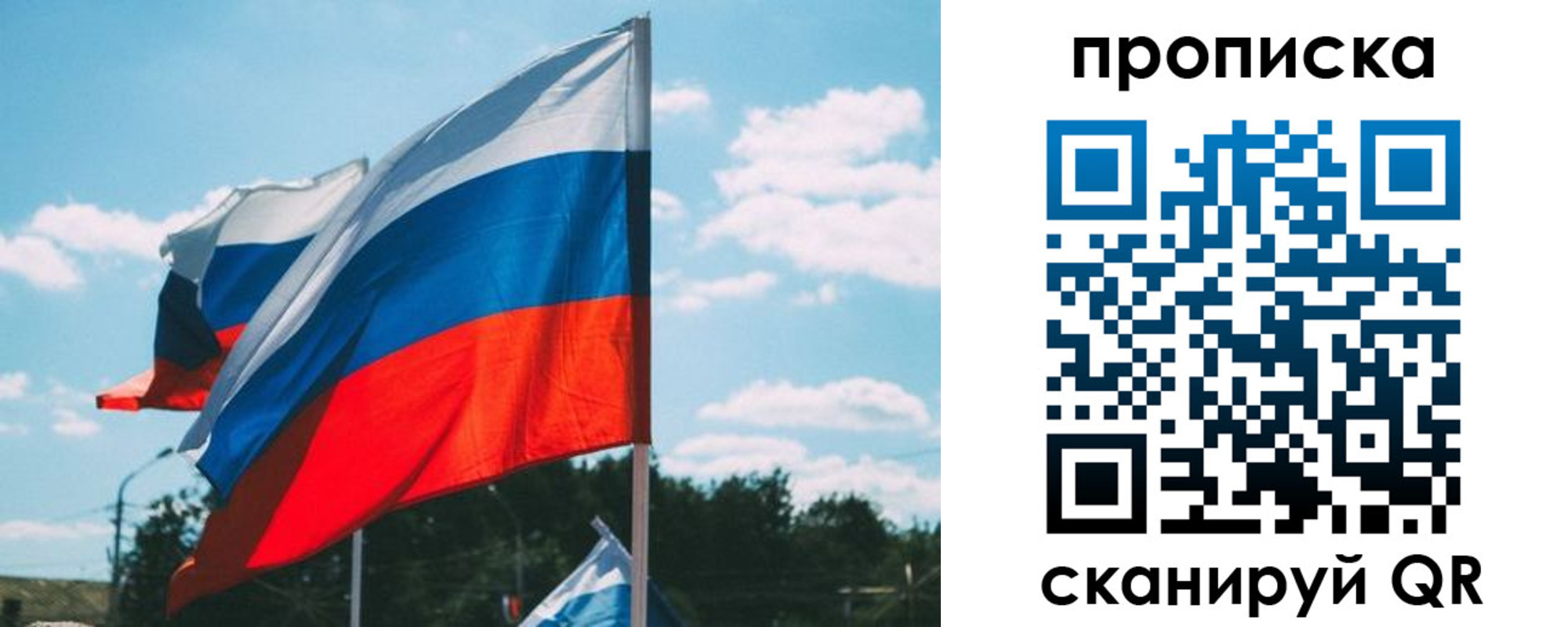 прописка поиск в Полярных Зорях